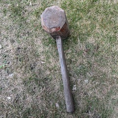 木槌、きづちの画像