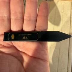 アガベ チタノタ 魔丸の画像