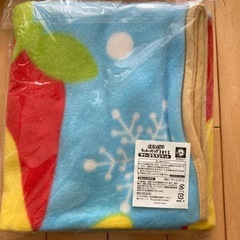 フリース　ブランケット　クッション　合計3点の画像