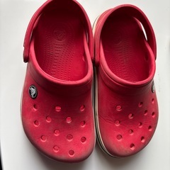 スケッチャーズ　瞬足　クロックス　19cmセットの画像