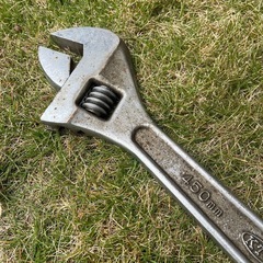 モンキー450ミリ
の画像