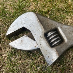 モンキー450ミリ
の画像