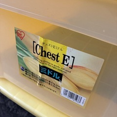 アイリス　衣装ケース　衣裳ケースの画像