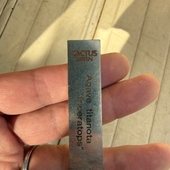 アガベ チタノタ トリケラトプス  の画像