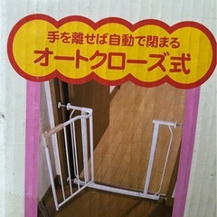 スチールゲートの画像