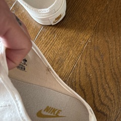 NIKEスニーカーサンダルの画像