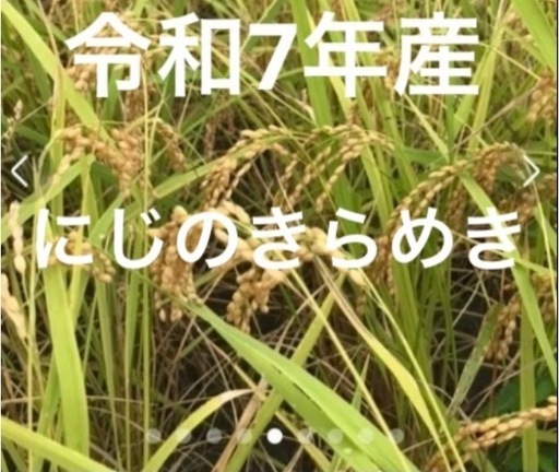 (お取引中)【和歌山.11月23日日曜日お受け渡し]令和7年産にじのきらめき玄米②