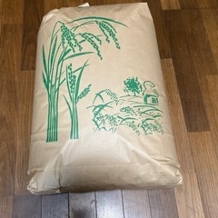 (お話し中)【和歌山.11月23日日曜日お受け渡し]令和7年産にじのきらめき玄米②の画像