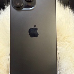 Apple iPhone 16 Pro Max 256GB ブラックチタニウム 国内版 SIMフリー値下げ不能の画像