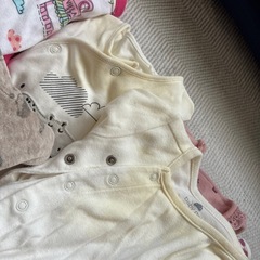 14点 サイズ60 の画像