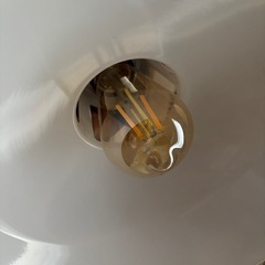 照明(調光電球付き)の画像
