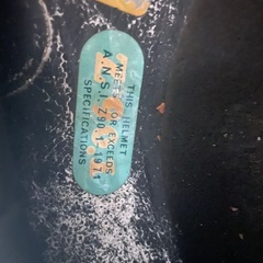 族ヘル　1971
の画像