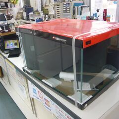 ID：241608　水槽・未開封の画像