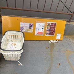 いろいろありますの画像