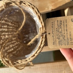 植木鉢、花瓶セットの画像