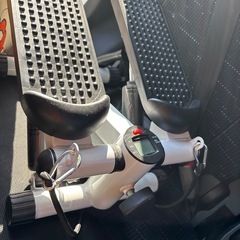 サイドステッパーの画像