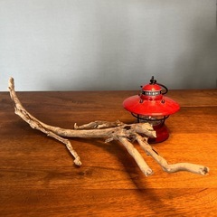 #流木  たくさんあります。 良ければご覧下さい。 長さ約55センチ　 大まかな幅約1〜3センチ  他でも出品している為、 突然終了する場合があります。 送料コストを減らす為、 大きさにより保証無し定形外発送の場合あり。 紛失注意とワレモノと明記しておきます。 洗い、天日干し、ブラッシング 煮沸済み ２９ #流木 #置き物 #オブジェ #インテリア #止まり木 #その他 #創作 #盆栽 #吊りの画像