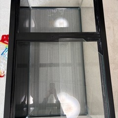 今日取り来てくれる方　GEX 水槽の画像