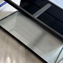 今日取り来てくれる方　GEX 水槽の画像