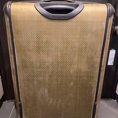 キャリーバッグの画像