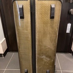 キャリーバッグの画像