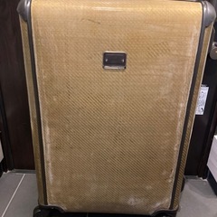 キャリーバッグの画像