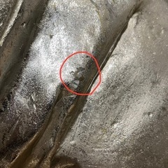 【希少】 カレデザイン Deco Object Struggling Rhinoの画像