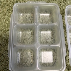 リッチェル　Richell   離乳食　冷凍容器  の画像