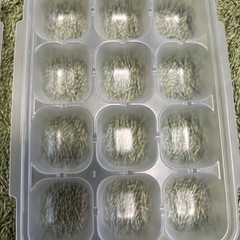 リッチェル　Richell   離乳食　冷凍容器  の画像