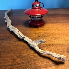 9、美白で味わい深い〜流木、天然物、インテリア、オブジェの画像