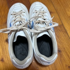 モナルシーダ neo 21センチの画像