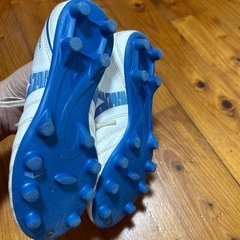 モナルシーダ neo 21センチの画像