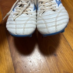 モナルシーダ neo 21センチの画像