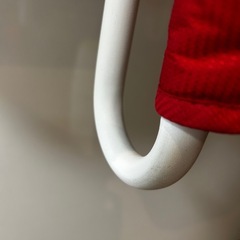 イングリッシーナ
の画像