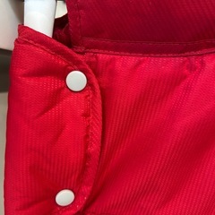 イングリッシーナ
の画像