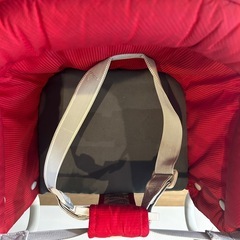 イングリッシーナ
の画像