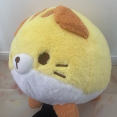 まんまるだにゃん スコティッシュの画像