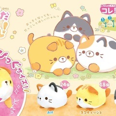 まんまるだにゃん スコティッシュの画像