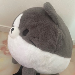 まんまるだにゃん はちわれの画像