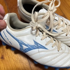 モナルシーダ neo 21センチの画像