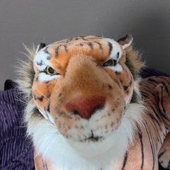 虎　ぬいぐるみの画像
