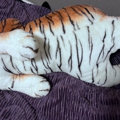 虎　ぬいぐるみの画像