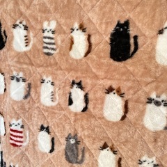 ⭐︎美品　冬用シングル敷きパッドの画像