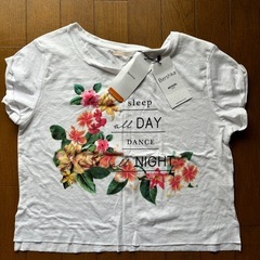 ワンピースと服の画像