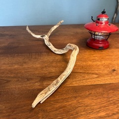 9、捻くれた反抗期　流木、天然物、インテリア、オブジェの画像