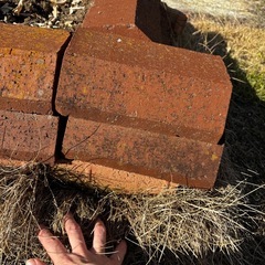 レンガ　花壇　家庭菜園用レンガの画像