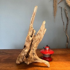 １２、あっぱれ　穴あり　流木、天然物、インテリア、オブジェの画像