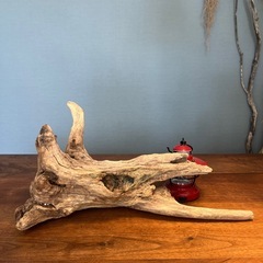 １２、あっぱれ　穴あり　流木、天然物、インテリア、オブジェの画像