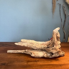 １２、あっぱれ　穴あり　流木、天然物、インテリア、オブジェの画像