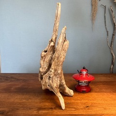 １２、あっぱれ　穴あり　流木、天然物、インテリア、オブジェの画像
